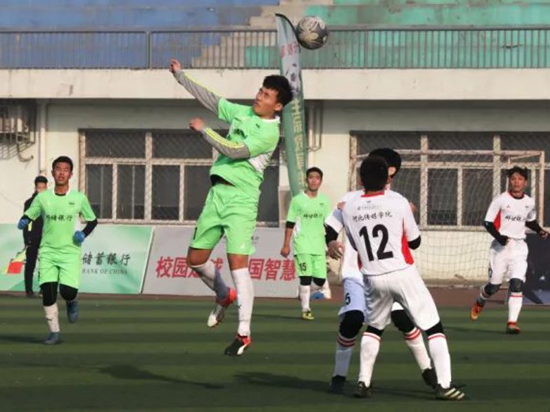 关于MK体育